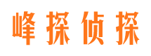 九原峰探私家侦探公司